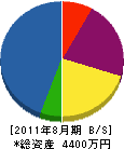 塚越電機商会 貸借対照表 2011年8月期