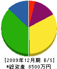 早川土木 貸借対照表 2009年12月期