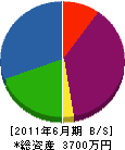 塩田塗装店 貸借対照表 2011年6月期