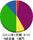 佐々木工業 貸借対照表 2012年3月期