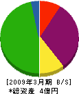 大松 貸借対照表 2009年3月期