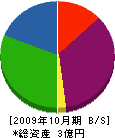 ルーム 貸借対照表 2009年10月期