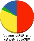 佐藤水道工業所 貸借対照表 2009年12月期