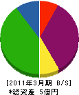 志村製材 貸借対照表 2011年3月期
