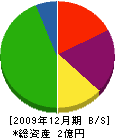 中島産業 貸借対照表 2009年12月期
