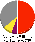 稲垣工務店 損益計算書 2010年10月期