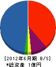 岩澤土木 貸借対照表 2012年6月期