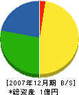 松村組 貸借対照表 2007年12月期