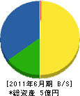 石津産業 貸借対照表 2011年6月期