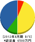 伊藤電気 貸借対照表 2012年4月期