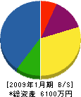 金井電気商会 貸借対照表 2009年1月期