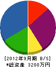 長谷川設備 貸借対照表 2012年9月期