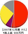 矢野建築塗装 損益計算書 2007年12月期