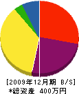 谷村工務店 貸借対照表 2009年12月期