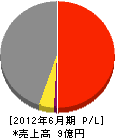 長崎中央建設 損益計算書 2012年6月期