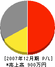 澤田工務店 損益計算書 2007年12月期