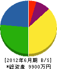 松波共和電機商会 貸借対照表 2012年6月期