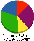 平田組 貸借対照表 2007年12月期