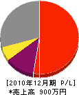 金沢塗装 損益計算書 2010年12月期