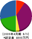 桜工業 貸借対照表 2009年4月期