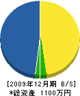 小島電気商会 貸借対照表 2009年12月期
