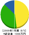 田崎建設 貸借対照表 2009年7月期