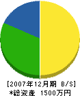 藤元庭園 貸借対照表 2007年12月期
