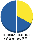 泉井電気商会 貸借対照表 2009年12月期