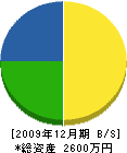 塚元造園 貸借対照表 2009年12月期