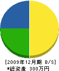 宮崎電気 貸借対照表 2009年12月期