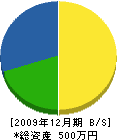 中川造園 貸借対照表 2009年12月期