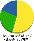 齋藤組 貸借対照表 2007年12月期