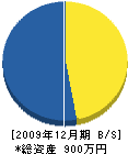 吉田塗装店 貸借対照表 2009年12月期