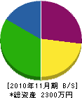 ムサシ水道 貸借対照表 2010年11月期