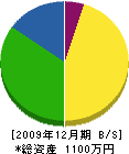 天野電工 貸借対照表 2009年12月期
