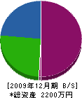 前田塗装工業 貸借対照表 2009年12月期