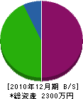 永野土建 貸借対照表 2010年12月期