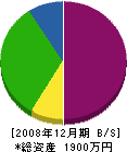 潮田建設 貸借対照表 2008年12月期