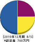 篠原設備 貸借対照表 2010年12月期