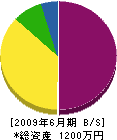 竹内工業 貸借対照表 2009年6月期