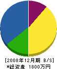 安田斫業 貸借対照表 2008年12月期