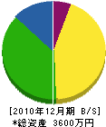 阪祥建業 貸借対照表 2010年12月期