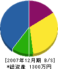 石川造園 貸借対照表 2007年12月期