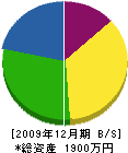 佐藤タイル 貸借対照表 2009年12月期
