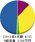 宮川電機 貸借対照表 2012年6月期