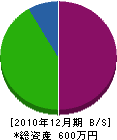 池田畳店 貸借対照表 2010年12月期
