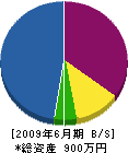 エースジャパンエステート 貸借対照表 2009年6月期