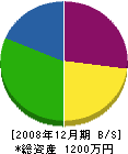 福島電工 貸借対照表 2008年12月期