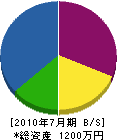 堀江電業 貸借対照表 2010年7月期