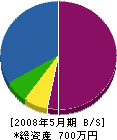 山崎建設 貸借対照表 2008年5月期